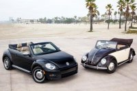 BEETLE (39)